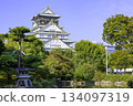 Osaka Castle and Japanese Garden (Osaka City, Osaka Prefecture) 134097319