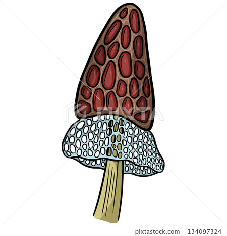 Fun Cartoon Mushroom Toadstool Character Vector Illustration 134097324