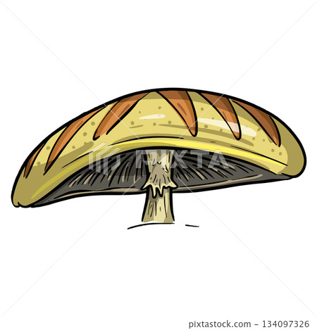 Fun Cartoon Mushroom Toadstool Character Vector Illustration Fun Cartoon Mushroom Toadstool Character Vector Illustration 134097326