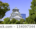 Osaka Castle Tower (Osaka City, Osaka Prefecture) 134097344