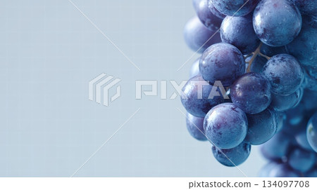 Close-Up Of Blue Grapes In A Bright Soft Background For Fresh Food Or Wine Content 134097708