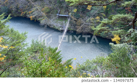 Sumata Gorge Yume no Tsuribashi 134097875