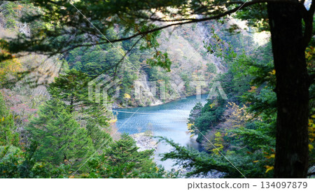 Sumata Gorge Yume no Tsuribashi 134097879
