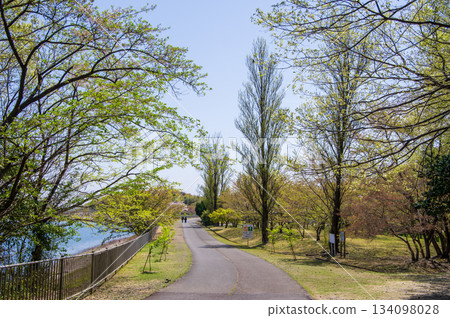 A refreshing spring promenade at Isaka Dam Cycle Park (Yokkaichi City, Mie Prefecture) A refreshing spring promenade at Isaka Dam Cycle Park (Yokkaichi City, Mie Prefecture) 134098028
