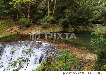河津七瀧瀑布，秋季賞楓的最佳時節 134098036