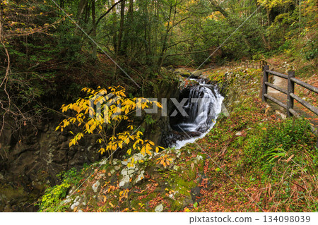 Kawazu Nanataki Falls, the best time to see autumn leaves 134098039