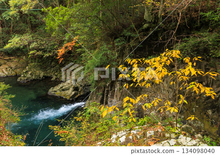 Kawazu Nanataki Falls, the best time to see autumn leaves 134098040
