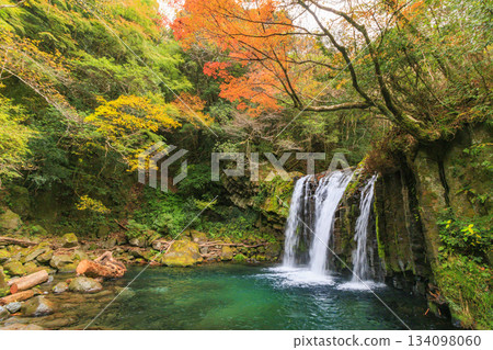 河津七瀧瀑布，秋季賞楓的最佳時節 134098060