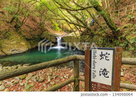 河津七瀧瀑布，秋季賞楓的最佳時節 134098064