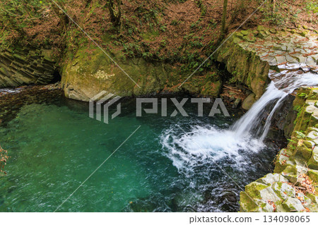Kawazu Nanataki Falls, the best time to see autumn leaves 134098065