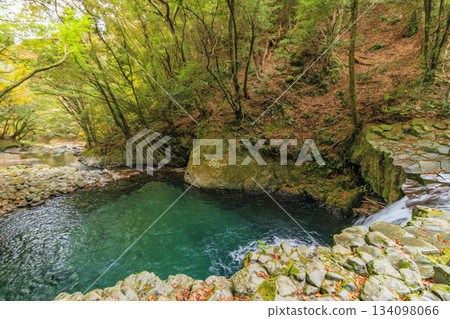 河津七瀧瀑布，秋季賞楓的最佳時節 134098066