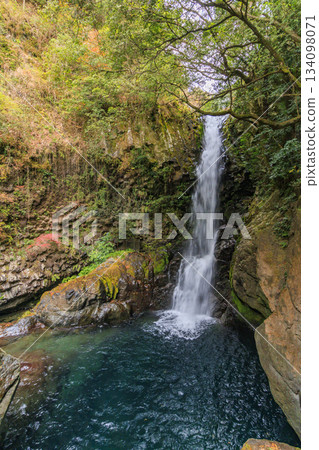 Kawazu Nanataki Falls, the best time to see autumn leaves 134098071