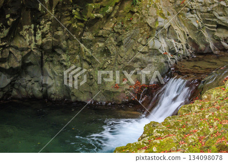 河津七瀧瀑布，秋季賞楓的最佳時節 134098078