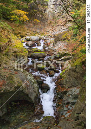 Kawazu Nanataki Falls, the best time to see autumn leaves Kawazu Nanataki Falls, the best time to see autumn leaves 134098081