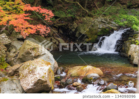 Kawazu Nanataki Falls, the best time to see autumn leaves 134098096