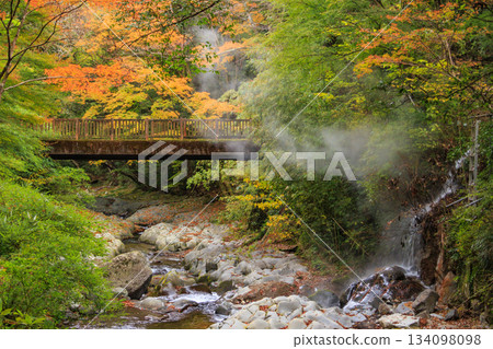 Kawazu Nanataki Falls, the best time to see autumn leaves Kawazu Nanataki Falls, the best time to see autumn leaves 134098098