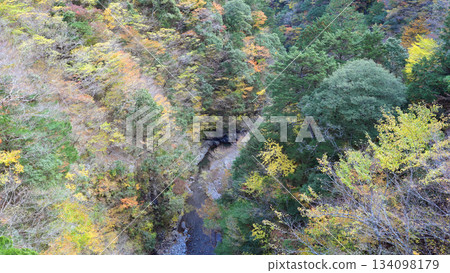 Sumatakyo Valley in autumn 134098179