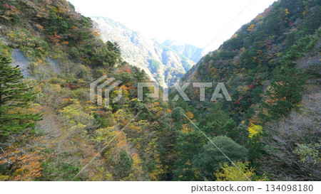 Sumatakyo Valley in autumn 134098180