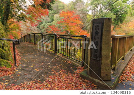 Amagi Yugashima Deai Bridge at its best when the autumn leaves are in full bloom 134098316