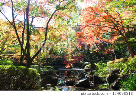 Otaku公園秋葉 134098518