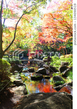 Otaku公園秋葉 134098519