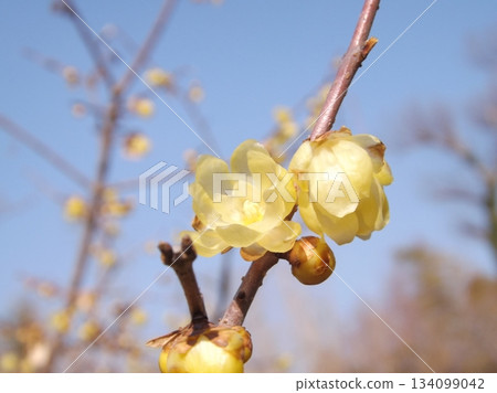 慌張 慌張 134099042