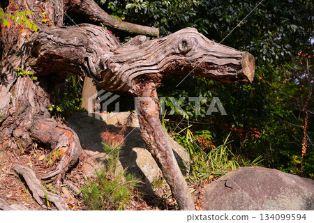 Scenery of Onomichi 134099594