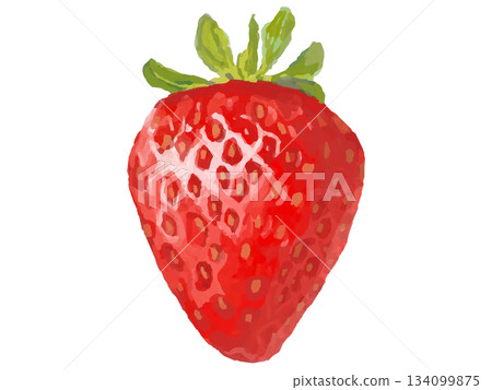 草莓插圖（動態莖） 134099875