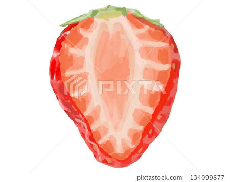 草莓插圖（半切圖） 134099877
