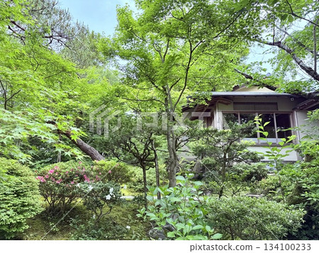 餐廳及日式花園 134100233