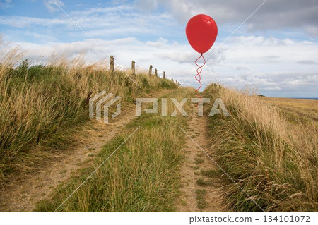 Red balloon floating above rutted track with wooden wire fence posts, wild grasses in flat design Red balloon floating above rutted track with wooden wire fence posts, wild grasses in flat design 134101072