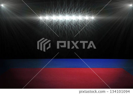 Composite image of playing field indoor 134101094