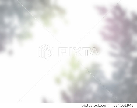 白牆上倒映著樹影的背景資料 134101943