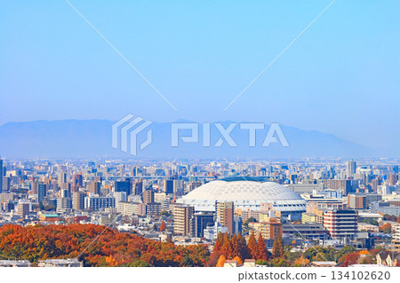 愛知縣名古屋市名古屋巨蛋及週邊地區 134102620