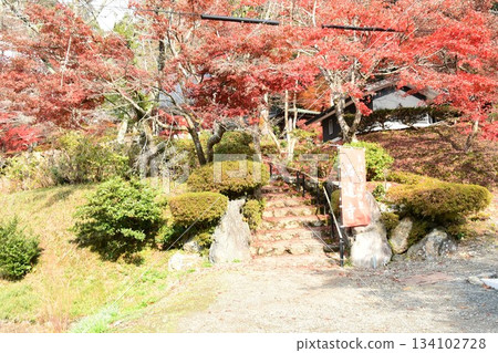 Shiga Ishido-ji Temple Autumn leaves Shiga Ishido-ji Temple Autumn leaves 134102728