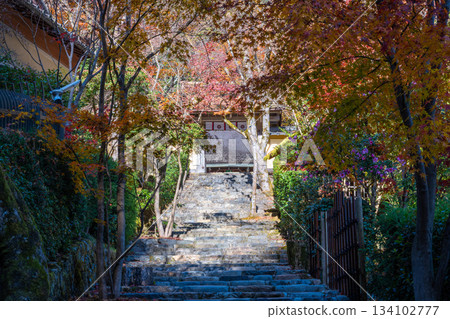 京都大原的秋日：通往寂光院的路 134102777