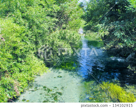 A stream of underground water in the Japanese Alps (Azumino, Nagano Prefecture) 134102915