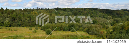 A panorama of a forest in the Krasnogorsk district of Moscow region, Russia. A panorama of a forest in the Krasnogorsk district of Moscow region, Russia. 134102939