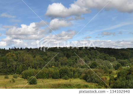 A panorama of a forest in the Krasnogorsk district of Moscow region, Russia. 134102940