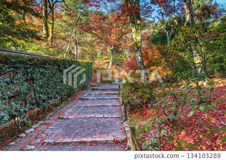 Stairs covered with fallen autumn leaves Stairs covered with fallen autumn leaves 134103289