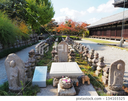 Uzuda rice paddies at Gangoji Temple in Nara Prefecture, November 134103325