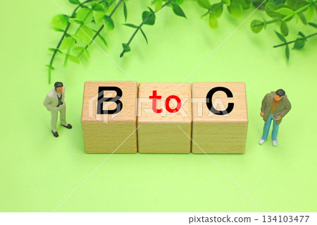 BtoC Business-to-consumer transactions 134103477
