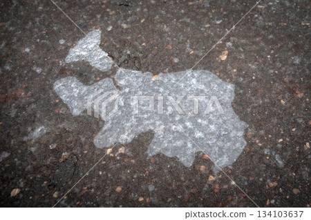 Irregular Frozen Ice Patch on Dark Asphalt Surface Irregular Frozen Ice Patch on Dark Asphalt Surface 134103637