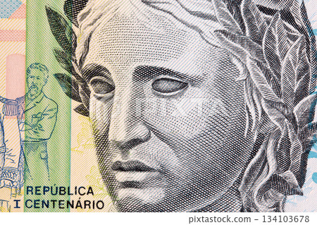 Sculpture of the Efigie a Republica from old Brazilian money Sculpture of the Efigie a Republica from old Brazilian money 134103678