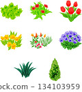 一套舒緩的插畫，描繪了各種色彩繽紛的植物。 134103959