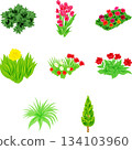 一套舒緩的插畫，描繪了各種色彩繽紛的植物。 134103960