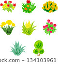 一套舒緩的插畫，描繪了各種色彩繽紛的植物。 134103961