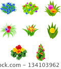 一套舒緩的插畫，描繪了各種色彩繽紛的植物。 134103962