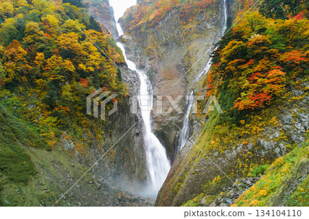 Toyama_A spectacular view of Shomyo Falls dyed in autumn leaves 134104110