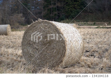 Landscape with grass roll Landscape with grass roll 134104118